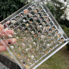 Seashell Display Box Acrylic Magnetic Seashell Display Case Acrylic Organizer Box Stackable Small Craft Organizers Compartment