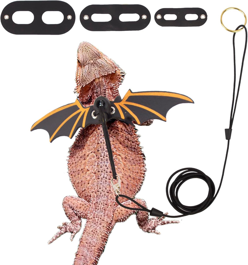 Bearded Dragon Harness and Leash Set - Black Leather, Available in Three Sizes, Includes Removable Leash for Reptiles