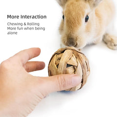 Professional Play and Activity Balls for Small Animals - Chew Toys for Rabbits, Guinea Pigs, and Chinchillas