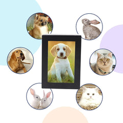 Professional Wooden Dog Urn for Ashes - Pet Cremation Urn with Photo Frame for Dogs and Cats (Small)