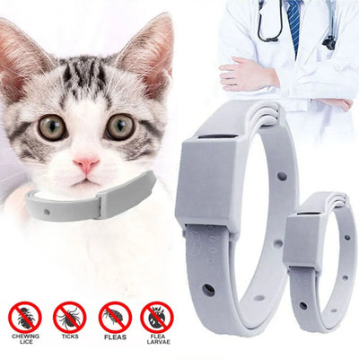 Anti Flea Collar for cats or dogs