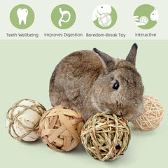 Professional Play and Activity Balls for Small Animals - Chew Toys for Rabbits, Guinea Pigs, and Chinchillas